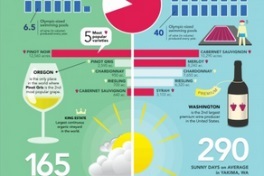 Effektive Kommunikation durch Infografiken